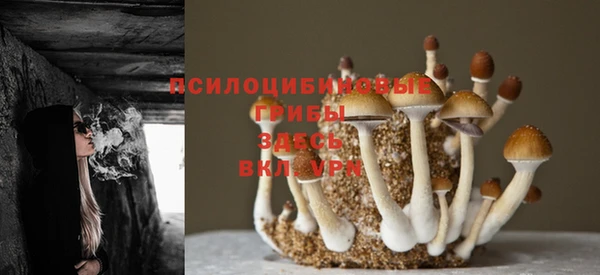 мескалин Беломорск