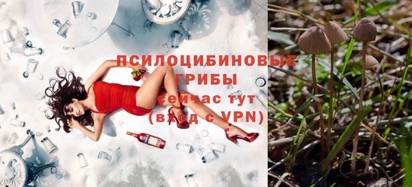 мескалин Беломорск