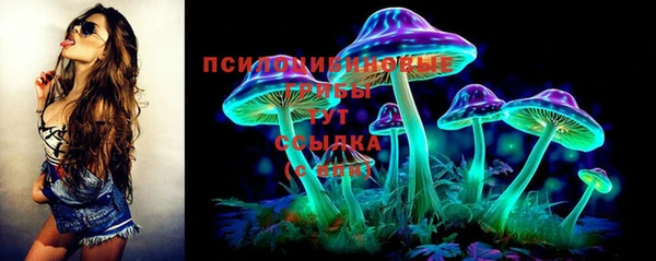 соль курить ск Белокуриха