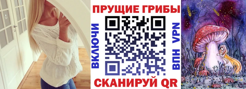 shop как зайти  Эртиль  Галлюциногенные грибы Psilocybine cubensis 